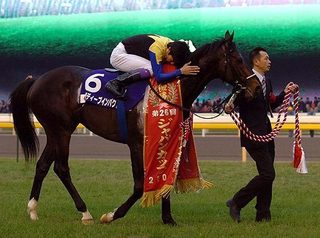 無敗の三冠馬誕生の瞬間 ディープインパクト 菊花賞: 日本が誇る名馬達