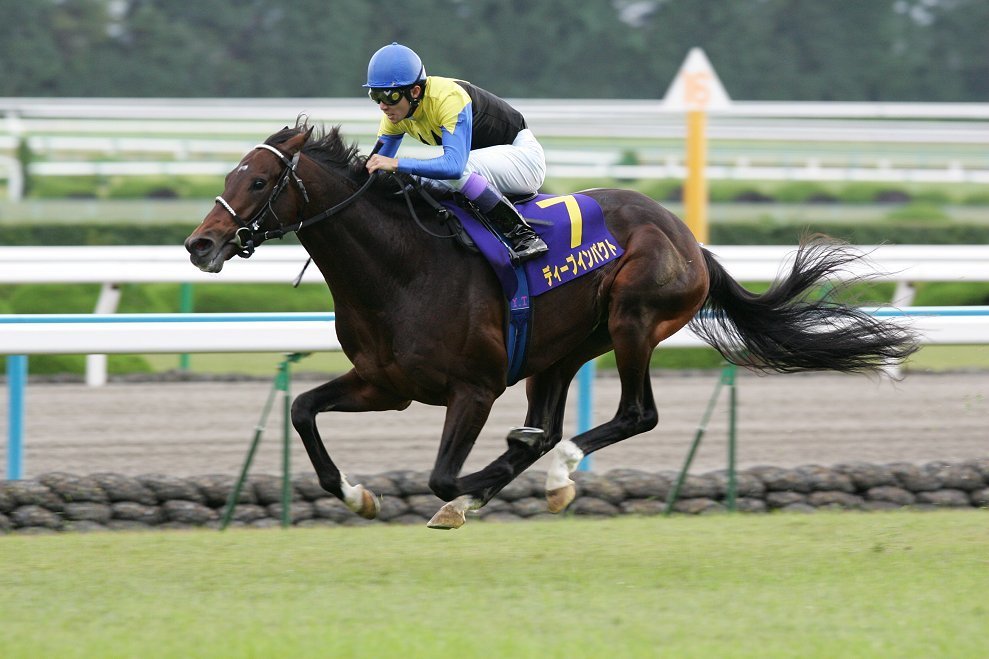 無敗の三冠馬誕生の瞬間 ディープインパクト 菊花賞: 日本が誇る名馬達 